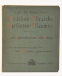 Vorschaubild